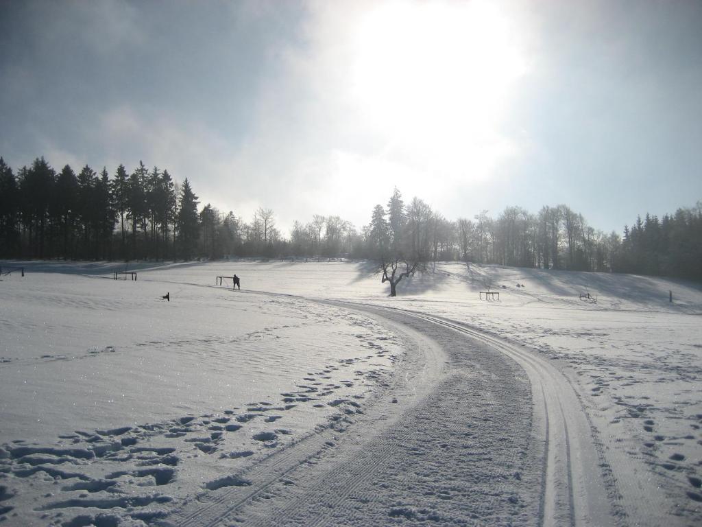 Landschafts-Gasthaus Brautigam-Hanses Schmallenberg Eksteriør bilde