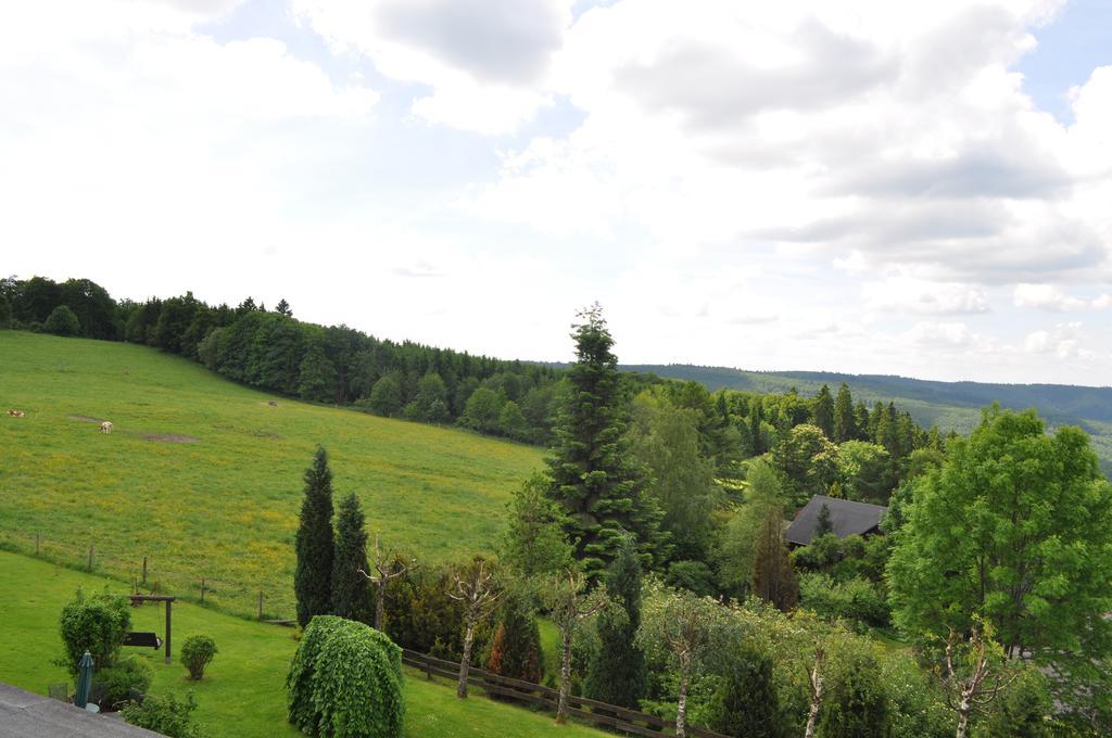 Landschafts-Gasthaus Brautigam-Hanses Schmallenberg Eksteriør bilde