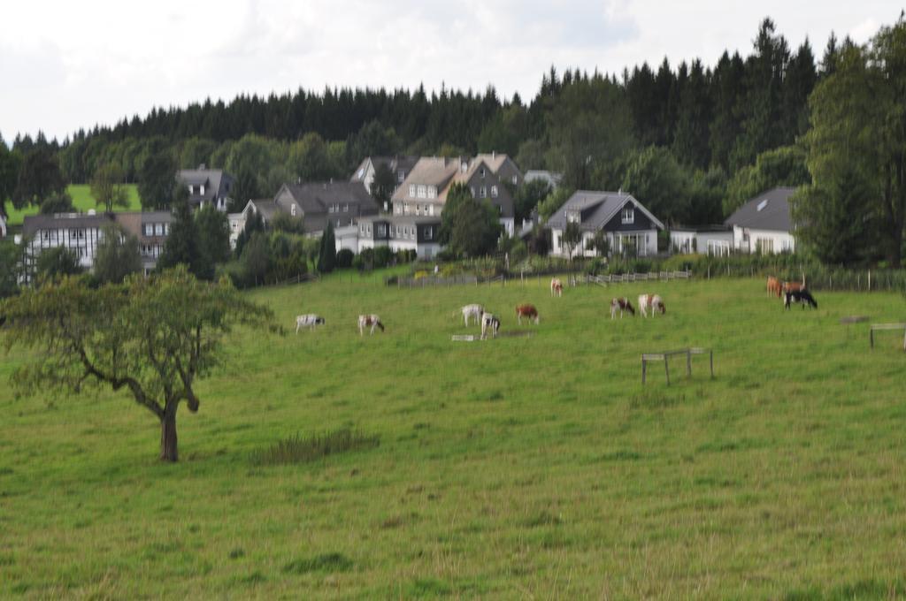 Landschafts-Gasthaus Brautigam-Hanses Schmallenberg Eksteriør bilde